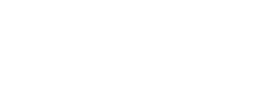 APV Link